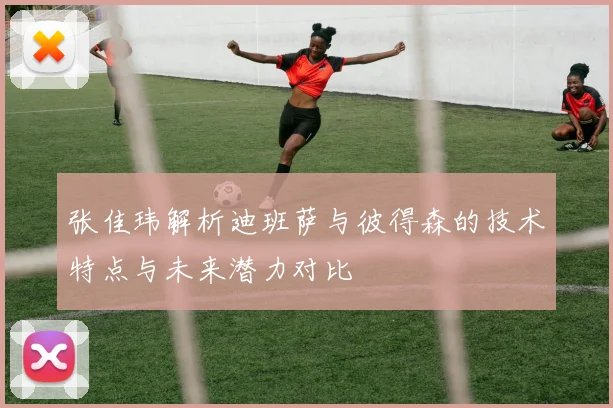 张佳玮解析迪班萨与彼得森的技术特点与未来潜力对比