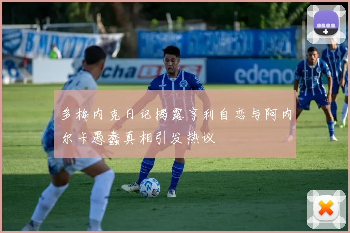 多梅内克日记揭露亨利自恋与阿内尔卡愚蠢真相引发热议